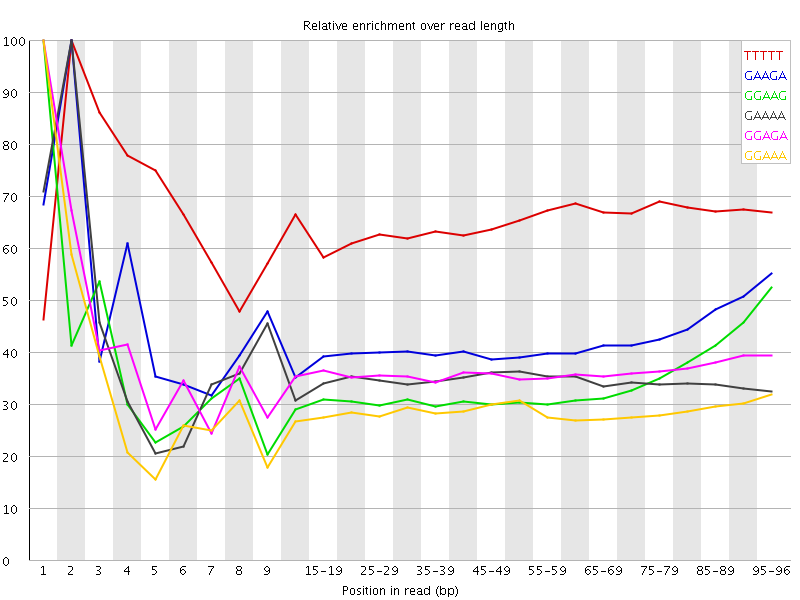 Kmer graph