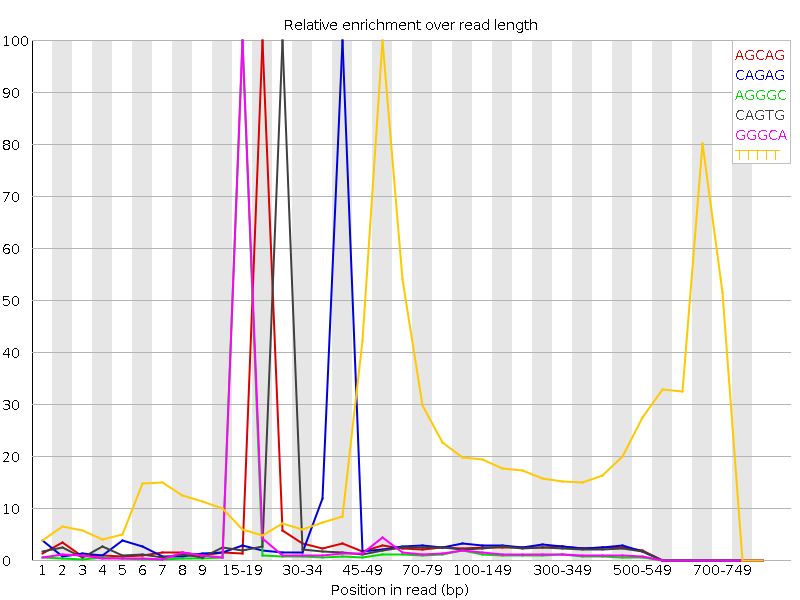 Kmer graph